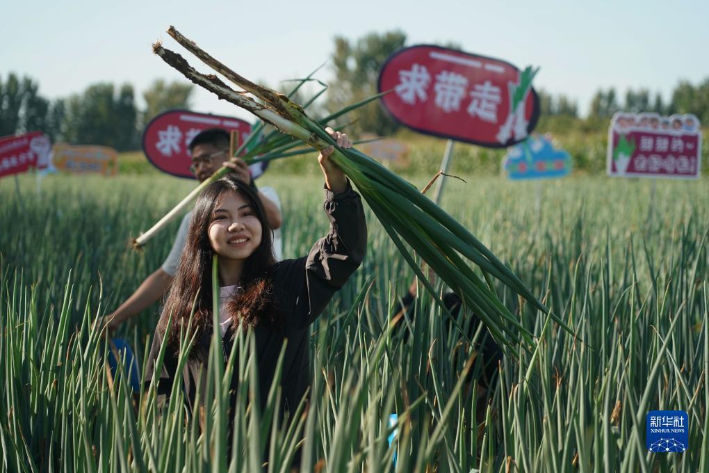 ag捕鱼达人